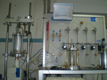 P7150025-221122-big[1]